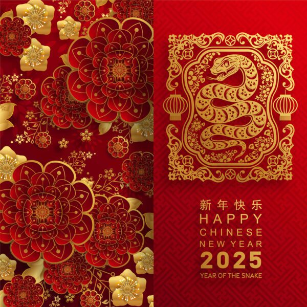 what does the snake symbolize in chinese new year